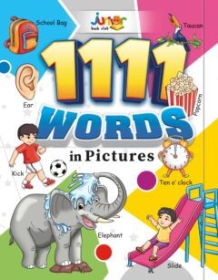1111 Words in Picture