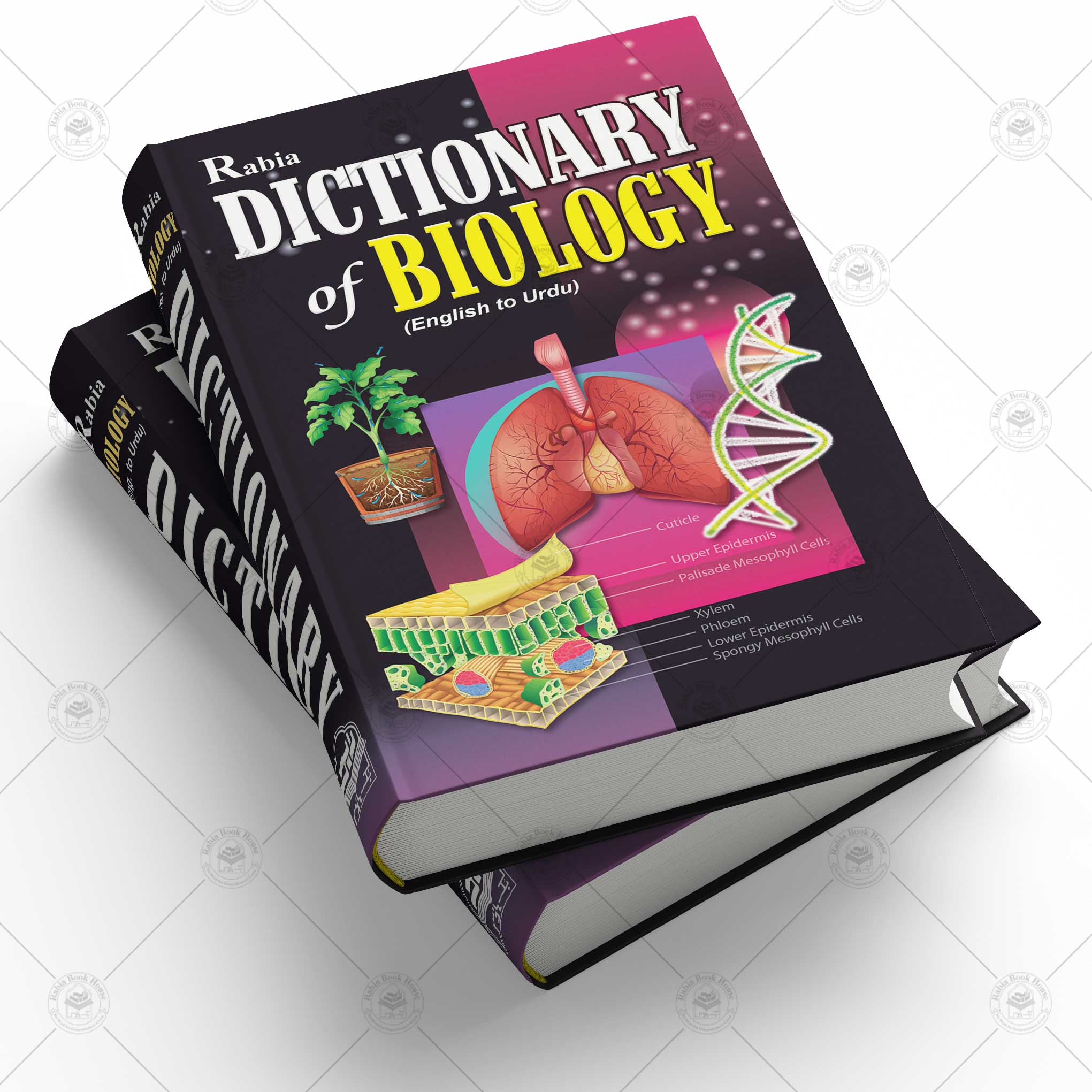 Dictionary of Biology (Eng to Urdu) - Rabia Books