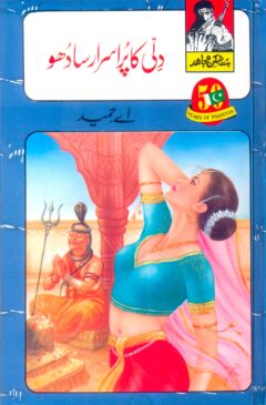 Dili ka Purisrar Sadho
