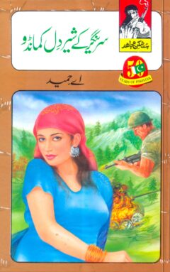 Sirinagr ky shairdil comando