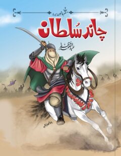 Chand Sultan