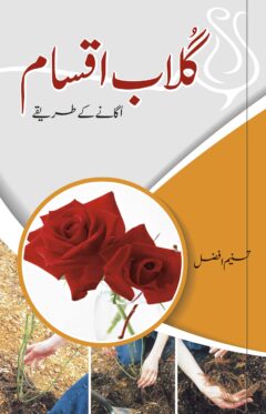 Gulab ki Iqsaam