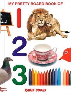 My Pretty Bord Book of 123