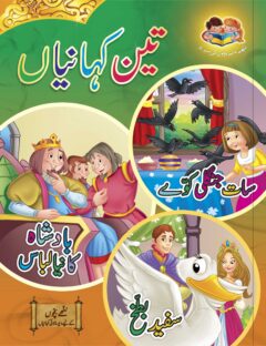 Teen Kahaniyan Book #19