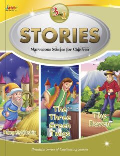 3 in 1 Stories Book #13